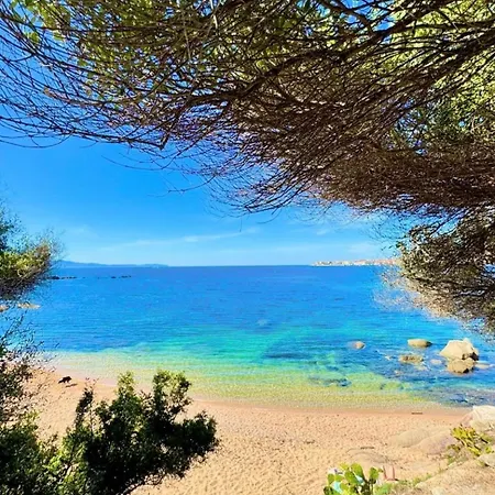 Apartment Ravissant T2 En Entree De Climatisation Et Parking Gratuit *